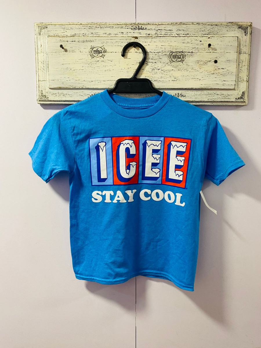 Polera Icee para niño color turquesa